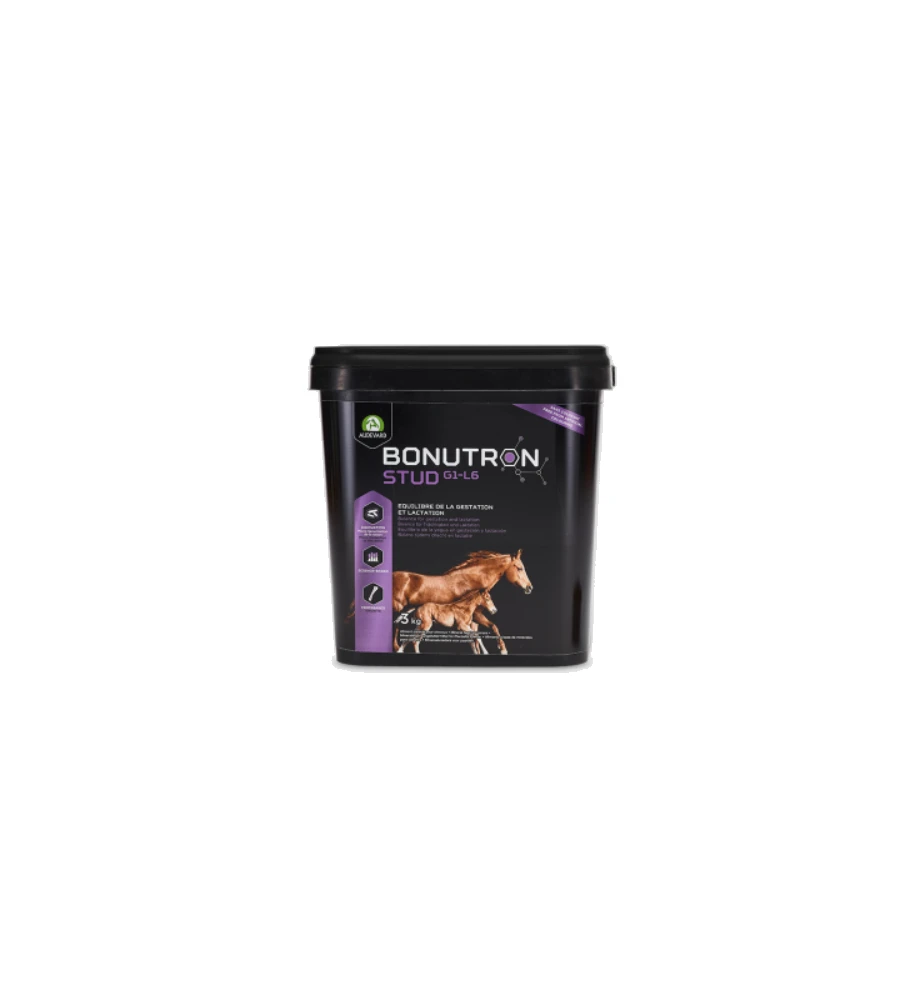 Audevard Bonutron Stud G1-L6 1 Audevard Bonutron Stud G1-L6