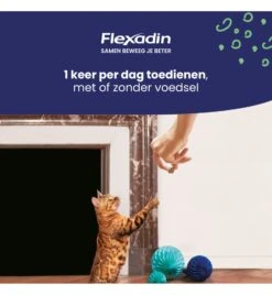 Flexadin Cat - 60 Chews -Dierenwinkel flexadin cat 60 chews 1