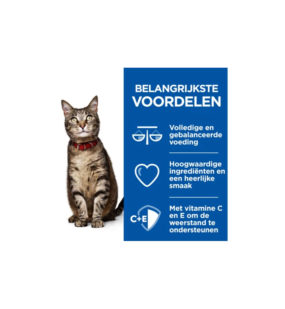 Hill's Science Plan Healthy Cuisine Volwassen Kat Stoofpotje Kip & Zalm - 4 X 12 X 80 Gram 2 Hill's Science Plan Healthy Cuisine Volwassen Kat Stoofpotje Kip & Zalm - 4 X 12 X 80 Gram - Afbeelding 2