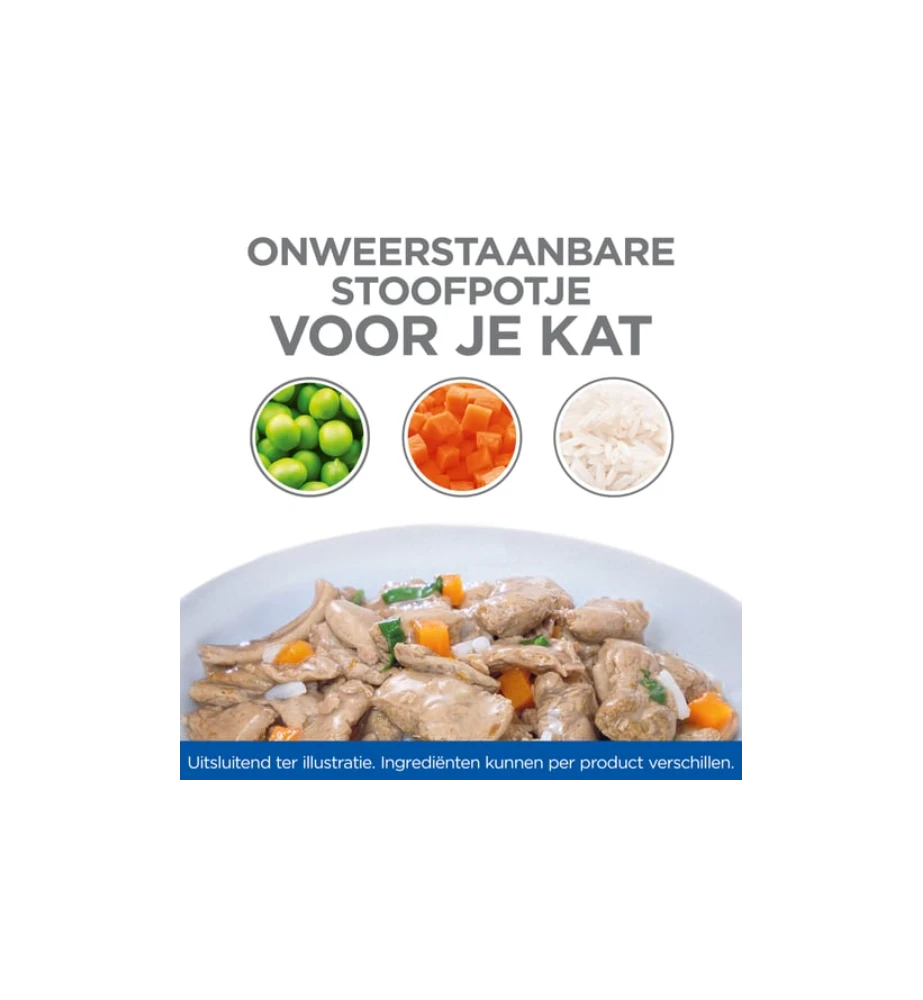 Hill's Science Plan Healthy Cuisine Volwassen Kat Stoofpotje Kip & Zalm - 4 X 12 X 80 Gram 3 Hill's Science Plan Healthy Cuisine Volwassen Kat Stoofpotje Kip & Zalm - 4 X 12 X 80 Gram - Afbeelding 3