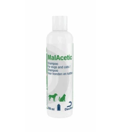 MalAcetic Shampoo - 230 Ml