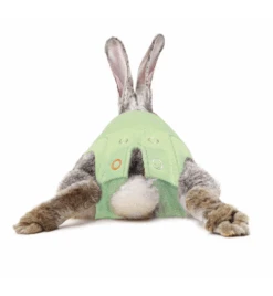 Medical Pet Shirt (Konijn) 5 Medical Pet Shirt (Konijn) -Dierenwinkel medical pet shirt konijn groen 2