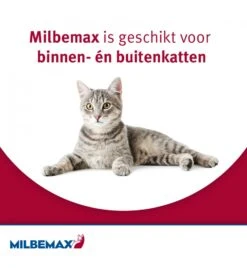 Milbemax Grote Kat 11 Milbemax Grote Kat -Dierenwinkel milbemax grote kat 3