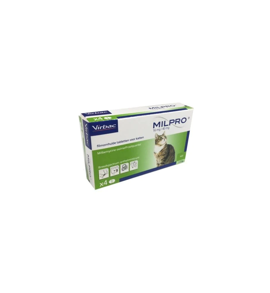 Milpro Grote Kat (+ 2 Kg) 1 Milpro Grote Kat (+ 2 Kg)