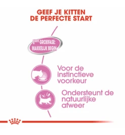 Royal Canin Mother & Babycat Mousse - 12 X 195 Gram -Dierenwinkel royal canin mother babycat mousse 12 x 195 gram 3