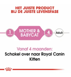 Royal Canin Mother & Babycat Mousse - 12 X 195 Gram -Dierenwinkel royal canin mother babycat mousse 12 x 195 gram 4