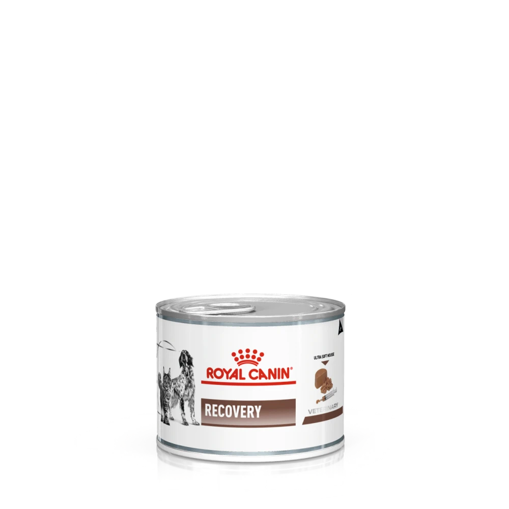 Royal Canin Recovery Blik - 12 X 195 Gram 1 Royal Canin Recovery Blik - 12 X 195 Gram