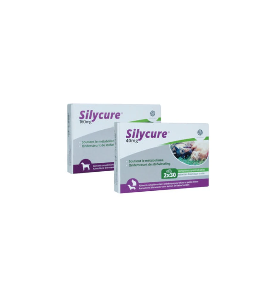 Silycure 160 Mg - 30 Tabletten 3 Silycure 160 Mg - 30 Tabletten - Afbeelding 3