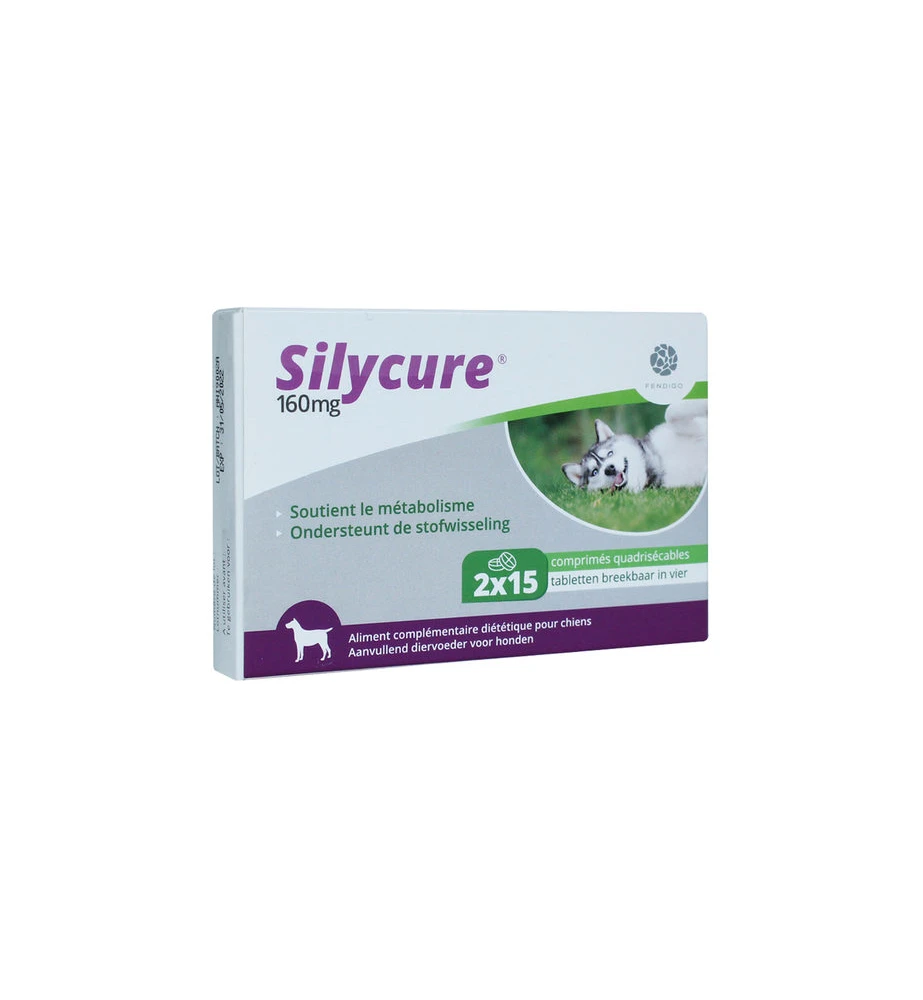 Silycure 160 Mg - 30 Tabletten 1 Silycure 160 Mg - 30 Tabletten