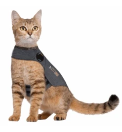 Thundershirt Kat