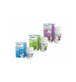 Vetoquinol Zylkene Plus 75 Mg Hond & Kat (-10 Kg) - 30 Capsules 5 Vetoquinol Zylkene Plus 75 Mg Hond & Kat (-10 Kg) - 30 Capsules -Dierenwinkel zylkene plus 75 mg hond kat 10 kg 30 capsules 2